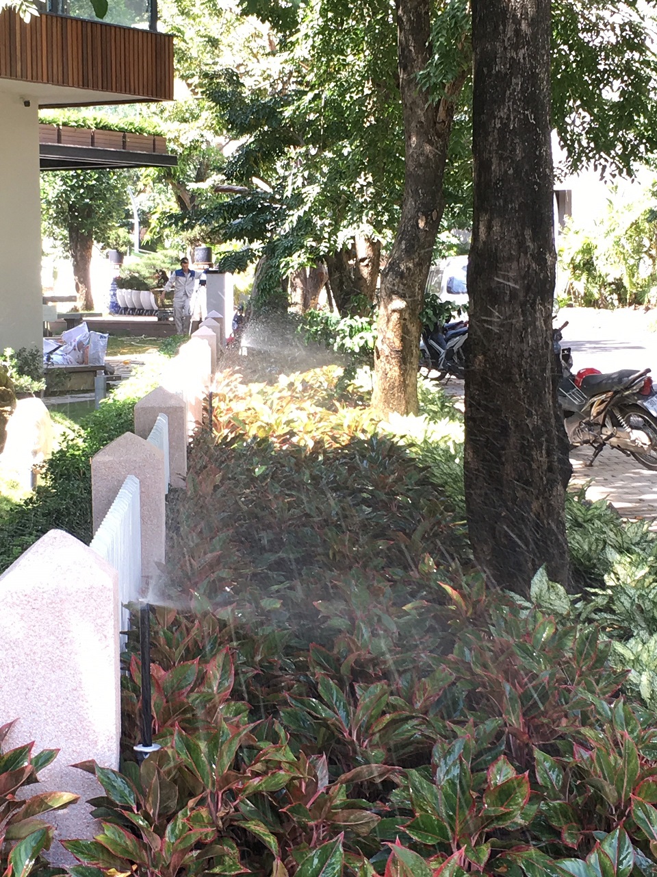 hệ thống tưới phun mưa