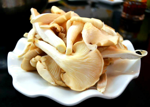 cách trồng nấm sò tại nhà