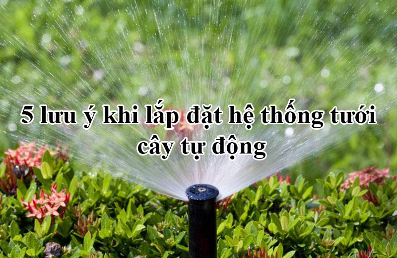lưu ý khi lắp đặt tưới tự động