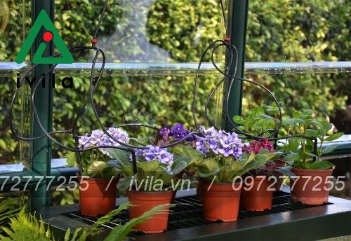 tưới nhỏ giọt ban công