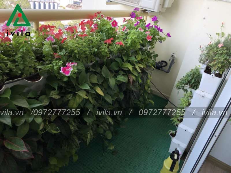 Tưới nhỏ giọt
