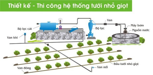hệ thống tưới nhỏ giọt