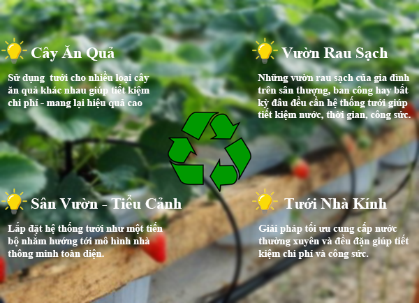 hệ thống tưới nhỏ giọt