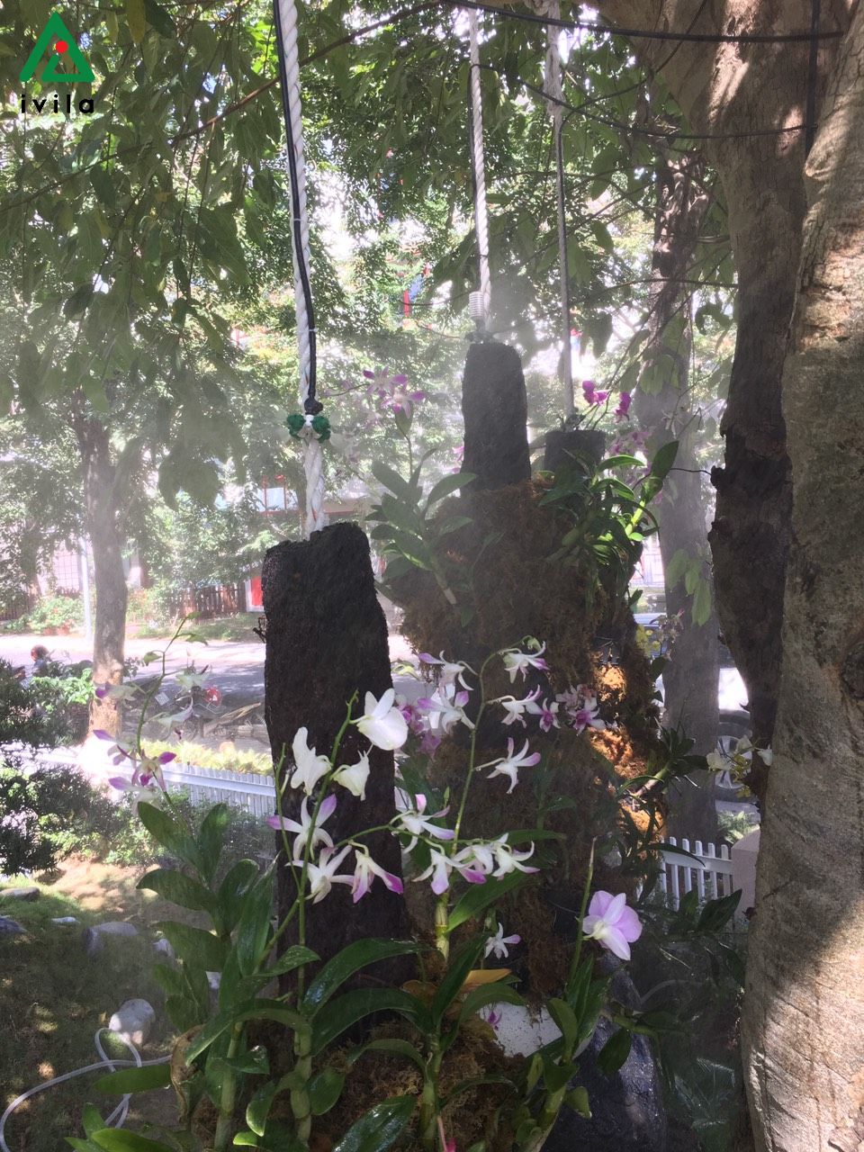 thi công tưới phun sương