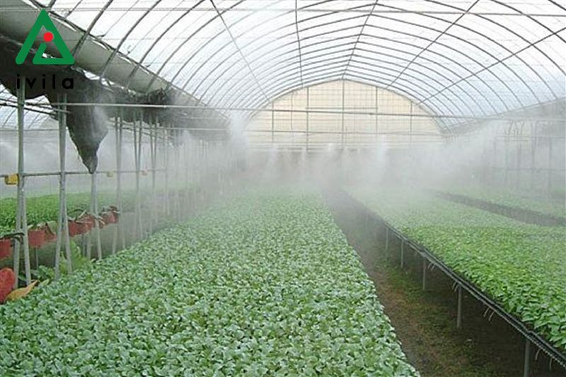 tưới phun sương tự động