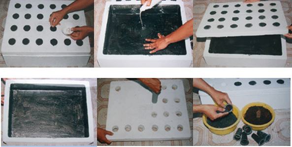 Chuẩn bị hộp xốp để trồng rau muống thủy canh