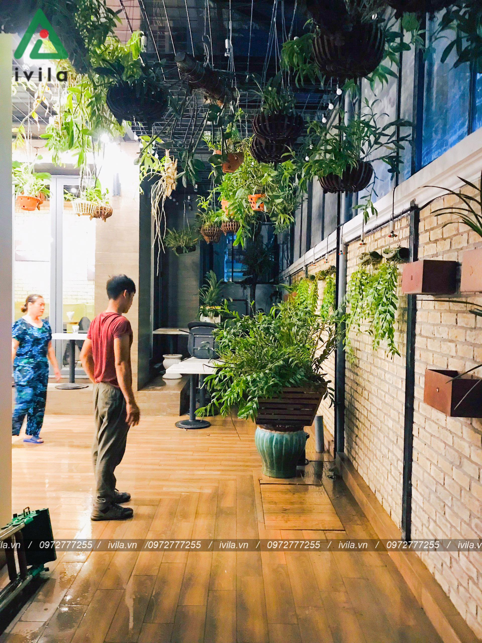 Chậu cây nội thất và chậu treo tường xung quanh quán