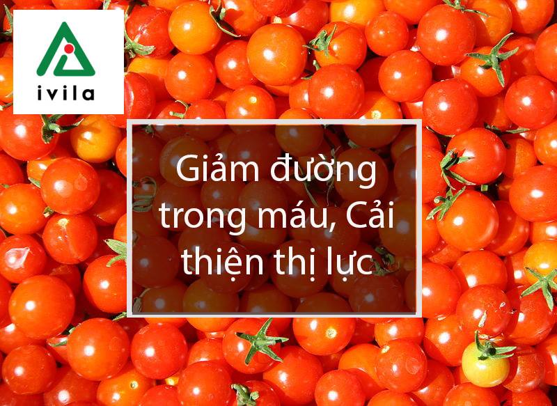 trong-ca-chua-tai-nha