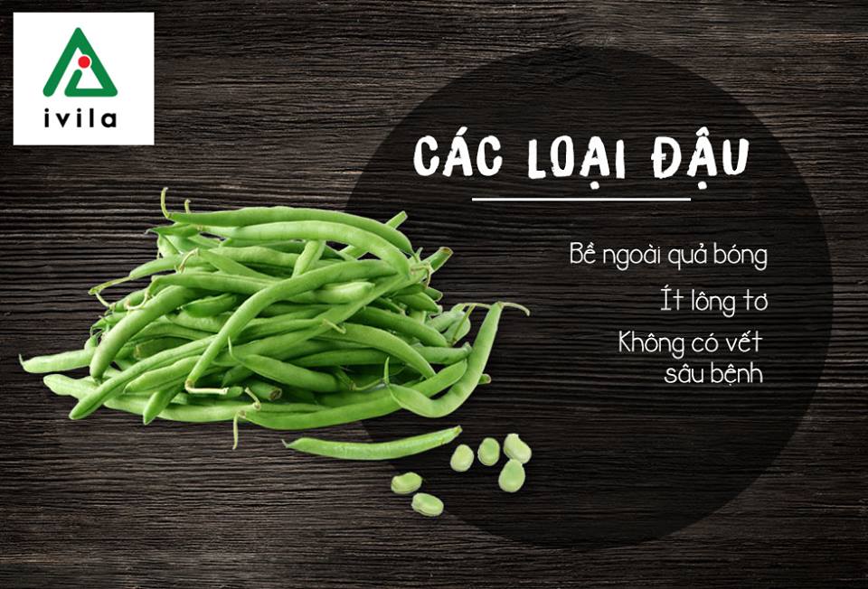 cach-nhan-biet-rau-sach-ivila