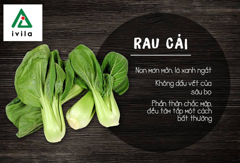cach-nhan-biet-rau-sach-ivila